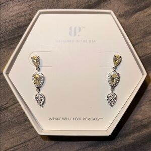 Elegant Silver Drop Earrings